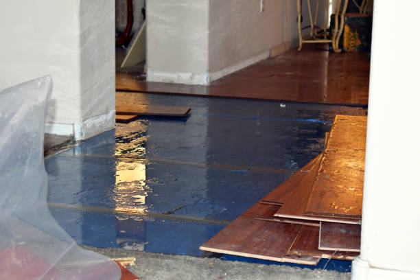 Professional Water Damage Restoration technician working in Greene, RI